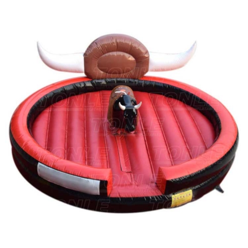 pool mechanical bull